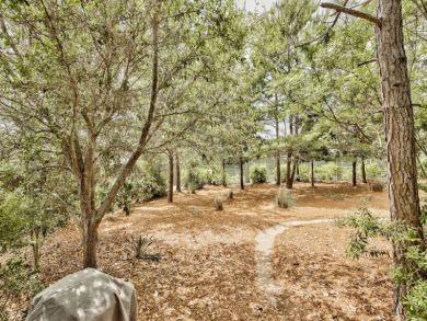 Beaches Of South Walton Home 929960