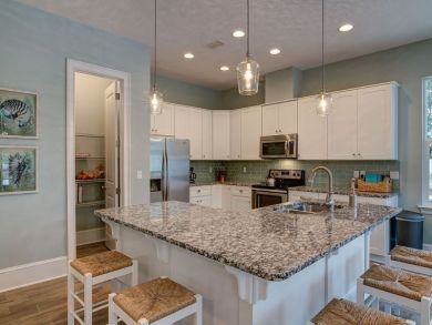 Beaches Of South Walton Home 929961
