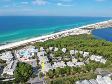 Beaches Of South Walton Condo 929979