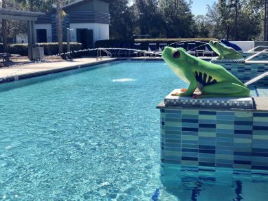 Beaches Of South Walton Condo 929982