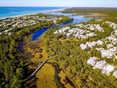 Beaches Of South Walton Condo 929982