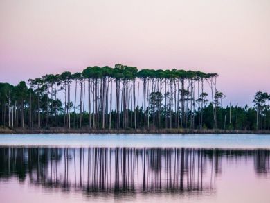 Beaches Of South Walton Condo 929982