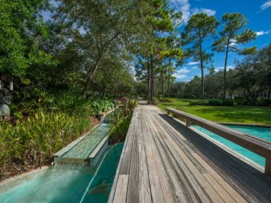 Beaches Of South Walton Condo 929982