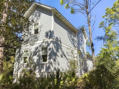 Beaches Of South Walton Home 929989