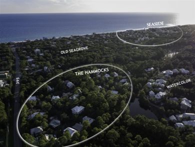 Beaches Of South Walton Home 929989