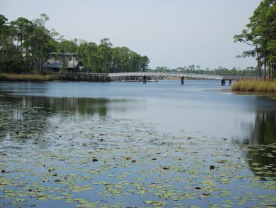 Beaches Of South Walton Home 930136