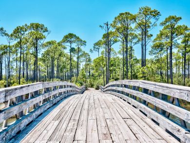 Beaches Of South Walton Home 930268