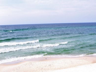 Beaches Of South Walton Condo 930276