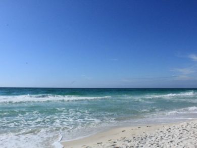 Beaches Of South Walton Condo 930286