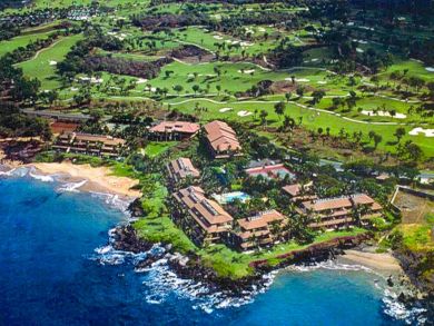 Luxury Oceanfront Condo Sleeps 6 Guests Maui Rental