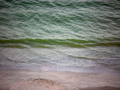 Indian Rocks Indian Shores Condo 930455