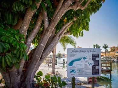 Treasure Island Condo 930476