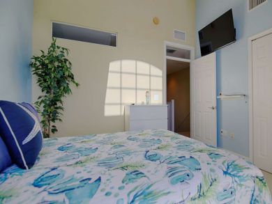 St. Petersburg Home 930516