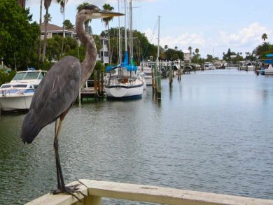 Indian Shores Ai Condo 930528