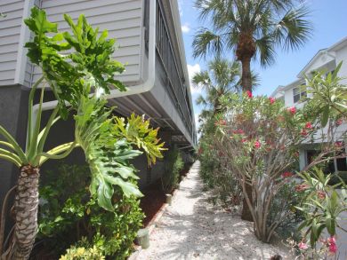 Indian Shores Ai Condo 930565