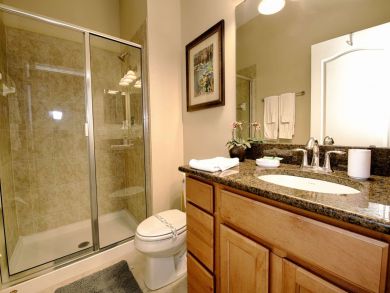 Orlando Home 930574