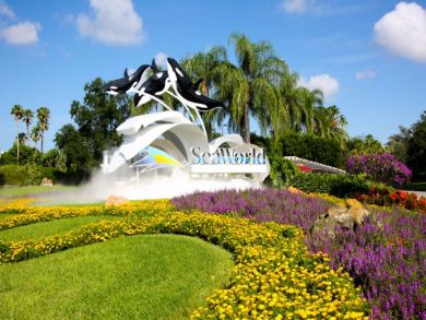 Orlando Condo 930613