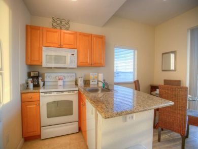 St. Petersburg Condo 930656