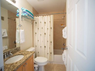 St. Petersburg Condo 930656