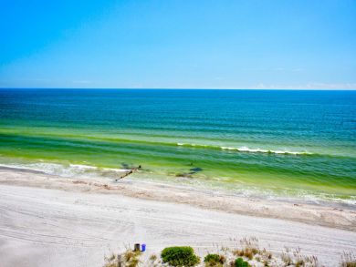 Indian Rocks Indian Shores Condo 930777