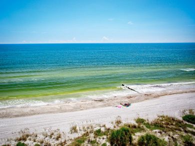 Indian Rocks Indian Shores Condo 930777
