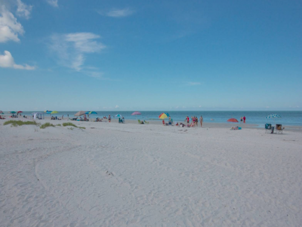 Indian Shores Gulf Front Rental