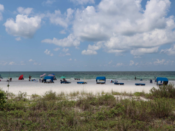 Indian Shores Gulf Front Rental