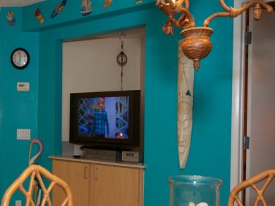 St. Petersburg Condo 930820
