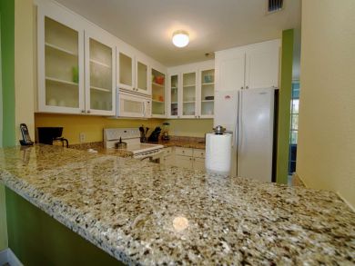 St. Petersburg Home 930823