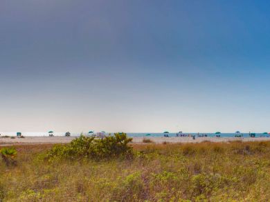Treasure Island Home 930834