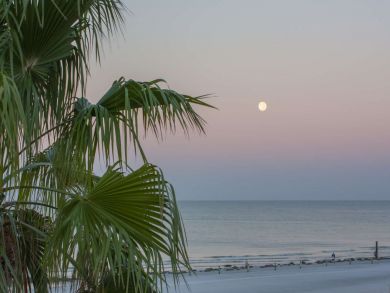 Indian Shores Ai Condo 930848
