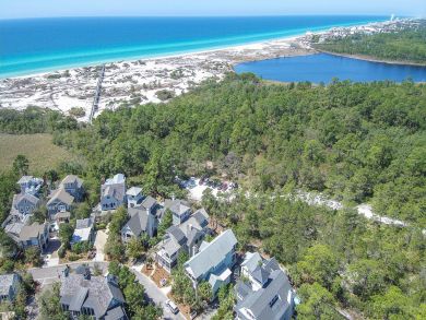 Beaches Of South Walton Home 930938 Beaches Of South Walton Home 930938