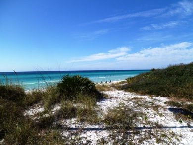 Beaches Of South Walton Home 930943
