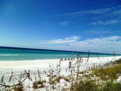 Beaches Of South Walton Home 930943