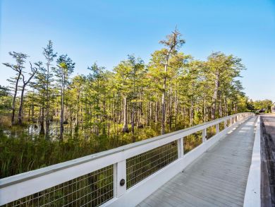 Beaches Of South Walton Home 930954