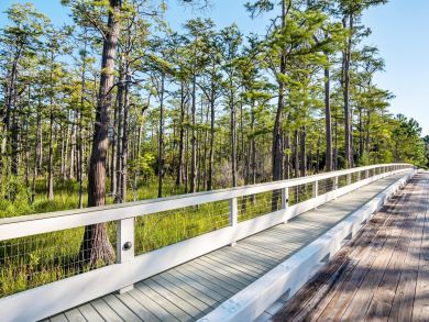 Beaches Of South Walton Home 930954