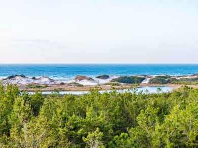 Beaches Of South Walton Home 930956