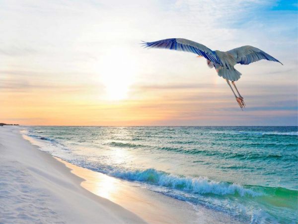 Oceanfront Luxury Vacation Home Sleeps 18 Guests in Destin