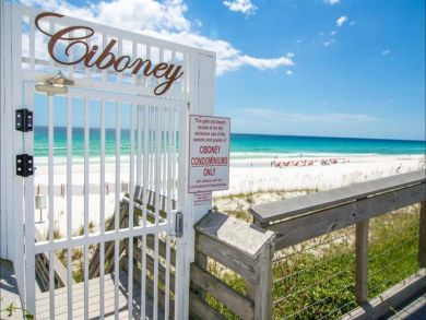 Beaches Of South Walton Condo 931079