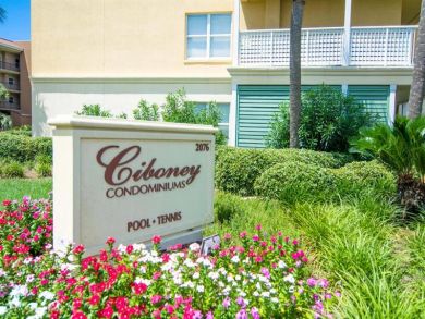 Beaches Of South Walton Condo 931079