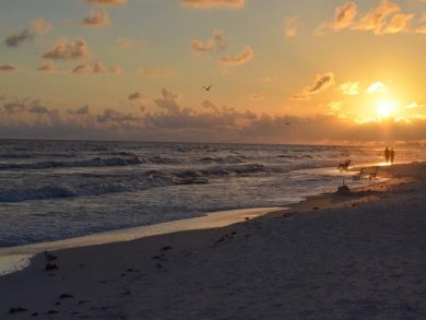 Beaches Of South Walton Condo 931085