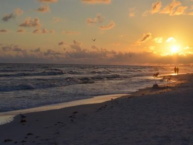 Beaches Of South Walton Condo 931100