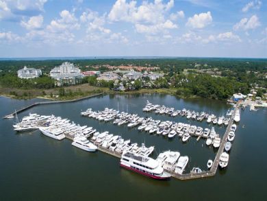 Beaches Of South Walton Condo 931105