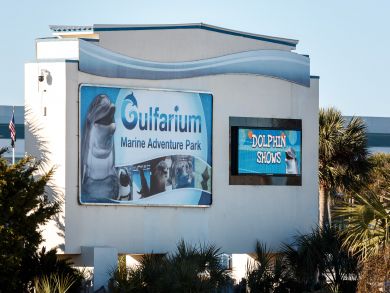 Okaloosa Island Fort Walton Beach Home 931134