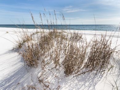 Okaloosa Island Fort Walton Beach Condo 931192 Okaloosa Island Fort Walton Beach Condo 931192