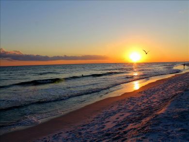 Okaloosa Island Fort Walton Beach Condo 931198 Okaloosa Island Fort Walton Beach Condo 931198