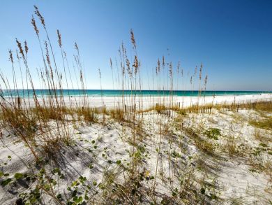Okaloosa Island Fort Walton Beach Condo 931200
