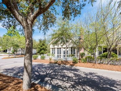 Beaches Of South Walton Home 931238