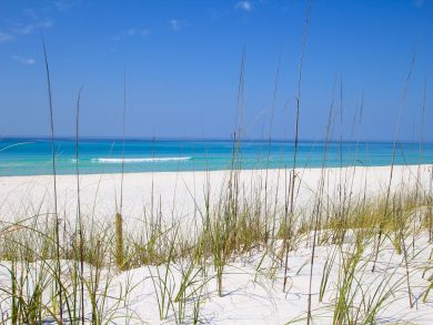 Beaches Of South Walton Condo 931253