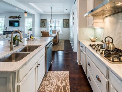 Beaches Of South Walton Home 931303
